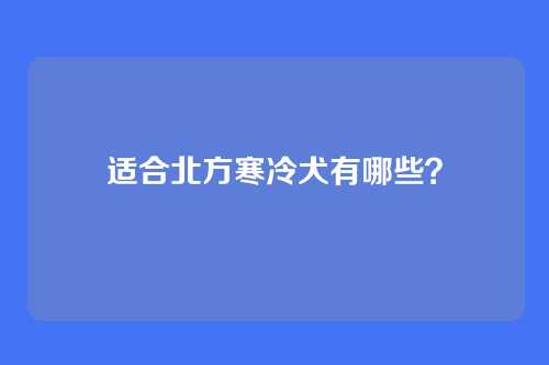 适合北方寒冷犬有哪些？