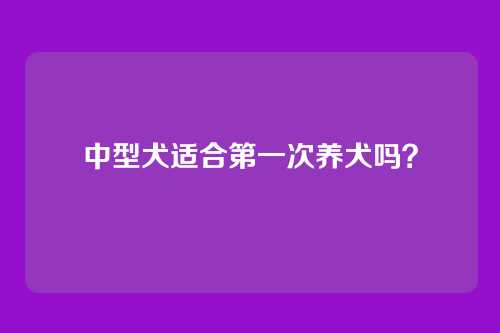 中型犬适合第一次养犬吗？