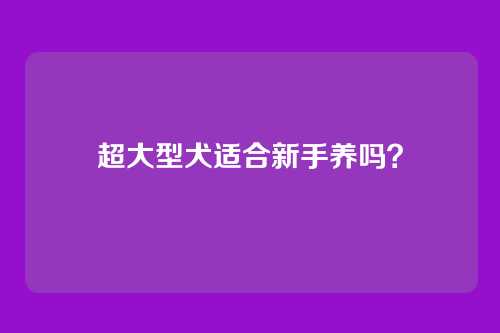超大型犬适合新手养吗？