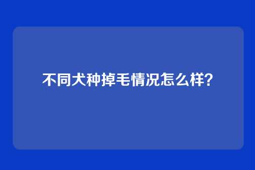 不同犬种掉毛情况怎么样？