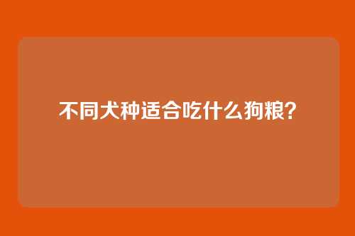 不同犬种适合吃什么狗粮？