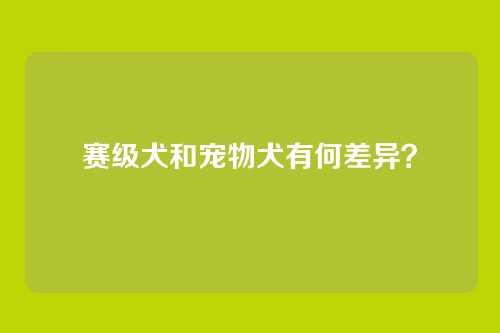 赛级犬和宠物犬有何差异？