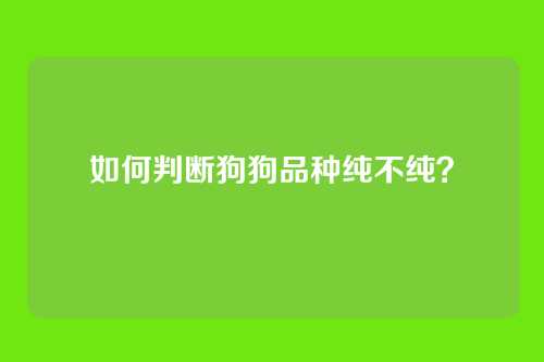 如何判断狗狗品种纯不纯？