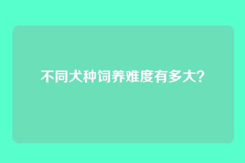 不同犬种饲养难度有多大？