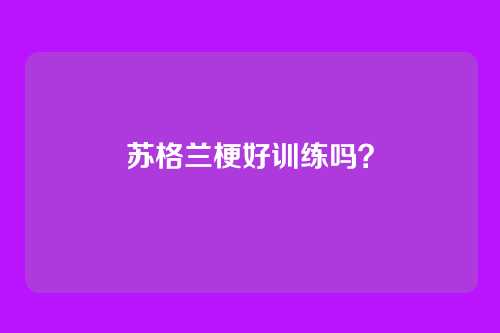 苏格兰梗好训练吗？