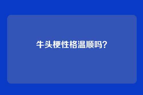 牛头梗性格温顺吗？