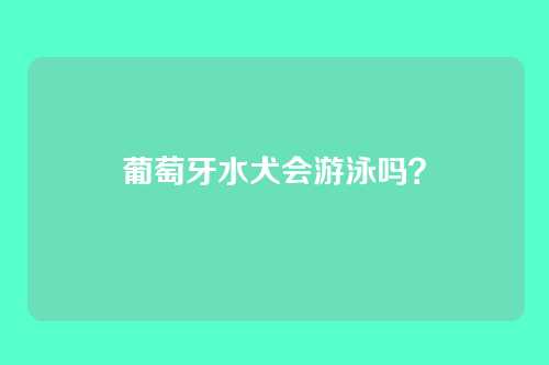 葡萄牙水犬会游泳吗？