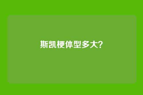斯凯梗体型多大？