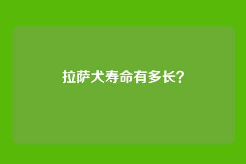 拉萨犬寿命有多长？