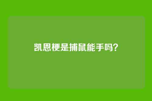 凯恩梗是捕鼠能手吗？