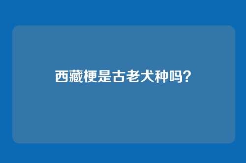 西藏梗是古老犬种吗？