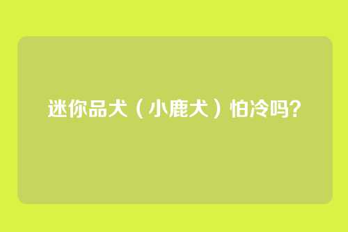 迷你品犬（小鹿犬）怕冷吗？