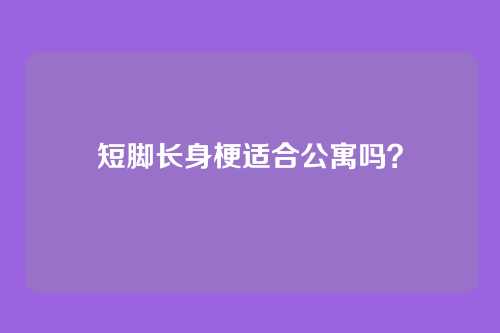 短脚长身梗适合公寓吗？