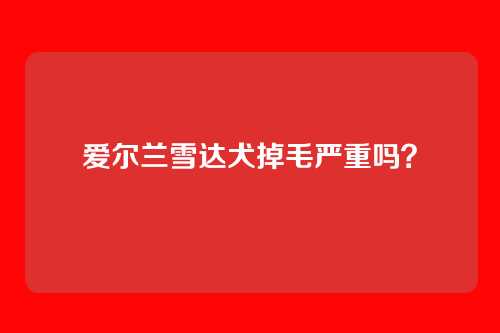爱尔兰雪达犬掉毛严重吗？