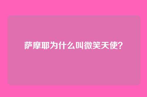 萨摩耶为什么叫微笑天使？