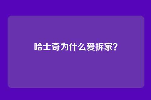 哈士奇为什么爱拆家？