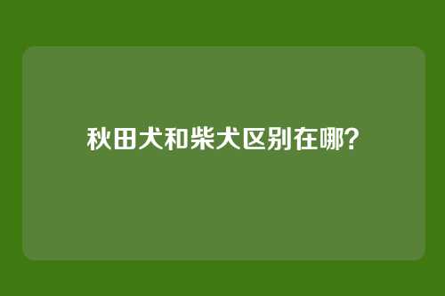 秋田犬和柴犬区别在哪？