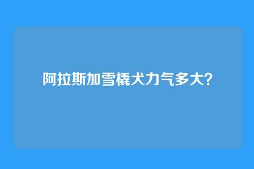 阿拉斯加雪橇犬力气多大？