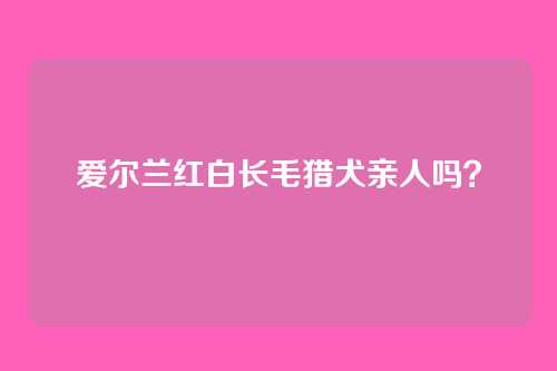 爱尔兰红白长毛猎犬亲人吗？