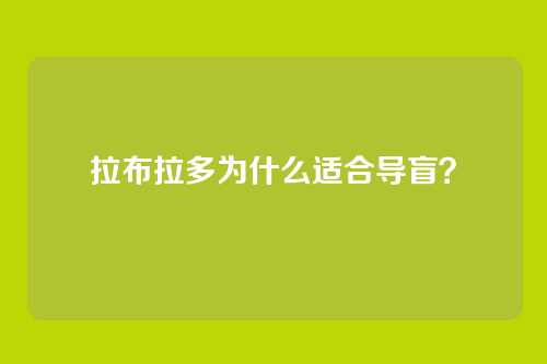 拉布拉多为什么适合导盲？