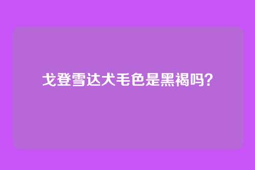 戈登雪达犬毛色是黑褐吗？