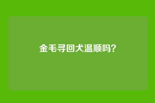 金毛寻回犬温顺吗？