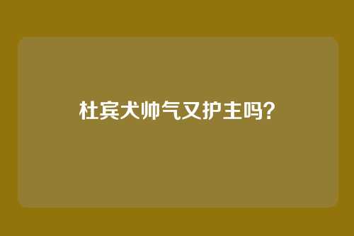 杜宾犬帅气又护主吗？