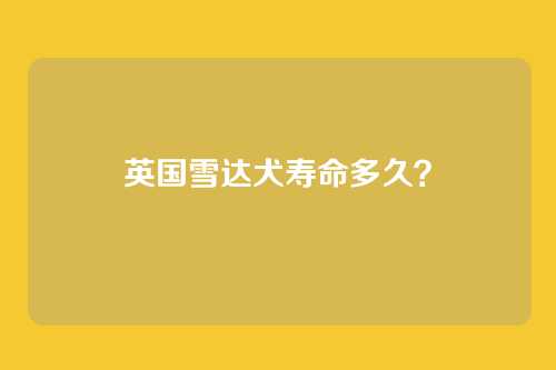 英国雪达犬寿命多久？