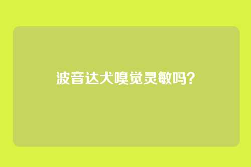 波音达犬嗅觉灵敏吗？