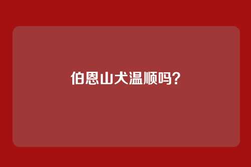 伯恩山犬温顺吗?