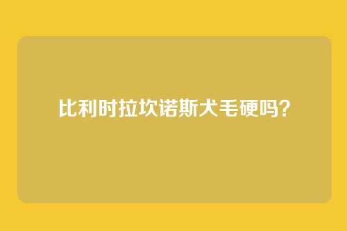 比利时拉坎诺斯犬毛硬吗？