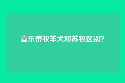 喜乐蒂牧羊犬和苏牧区别?