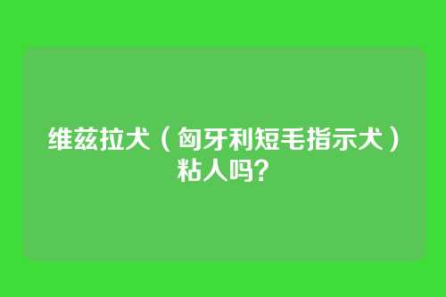 维兹拉犬（匈牙利短毛指示犬）粘人吗？