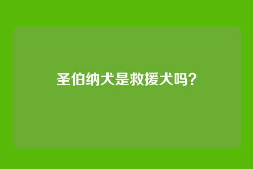 圣伯纳犬是救援犬吗?
