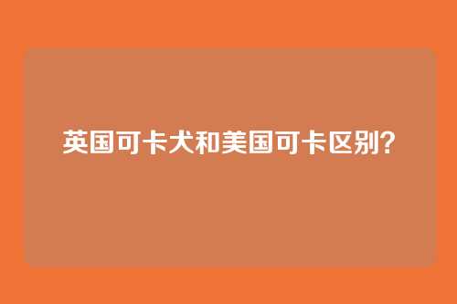英国可卡犬和美国可卡区别？