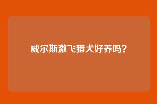 威尔斯激飞猎犬好养吗?