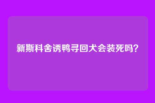 新斯科舍诱鸭寻回犬会装死吗?