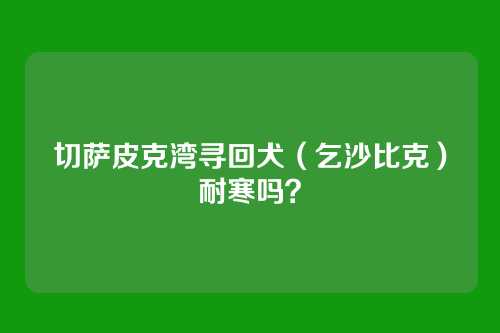 切萨皮克湾寻回犬(乞沙比克)耐寒吗?
