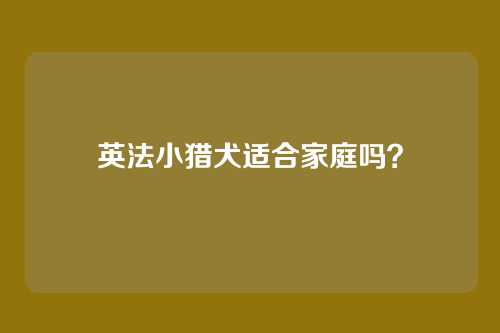 英法小猎犬适合家庭吗?