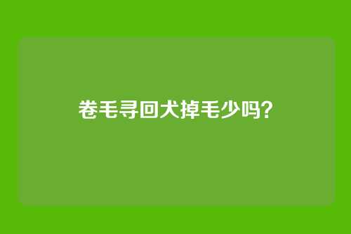 卷毛寻回犬掉毛少吗?