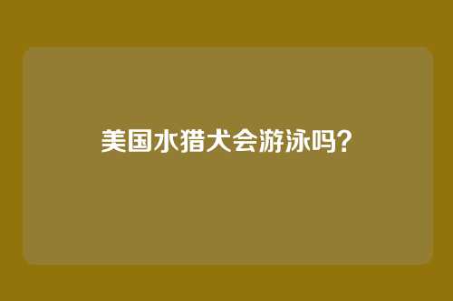 美国水猎犬会游泳吗?