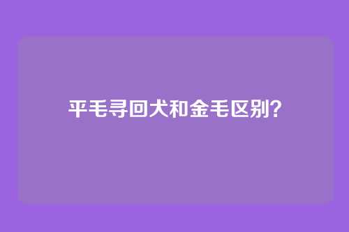 平毛寻回犬和金毛区别？