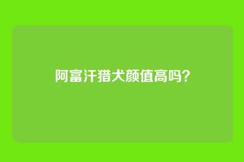 阿富汗猎犬颜值高吗?