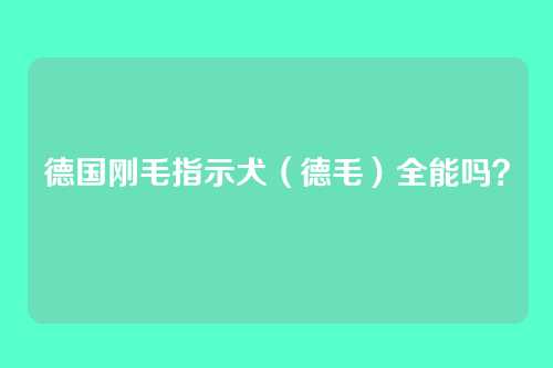 德国刚毛指示犬（德毛）全能吗？