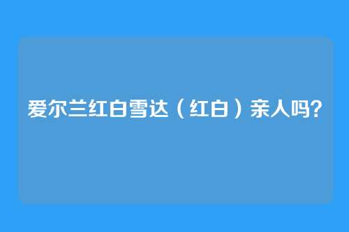 爱尔兰红白雪达(红白)亲人吗?