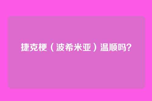 捷克梗(波希米亚)温顺吗?