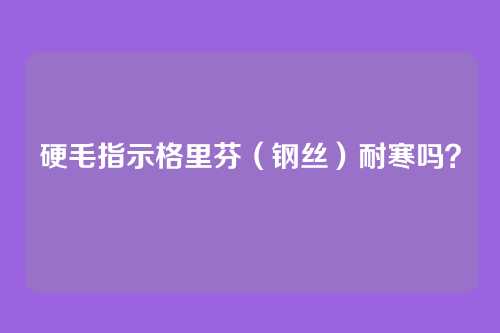 硬毛指示格里芬(钢丝)耐寒吗?