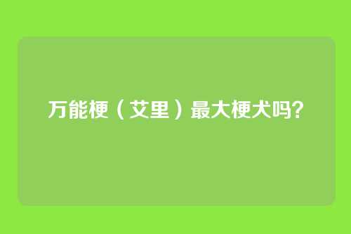 万能梗(艾里)最大梗犬吗?
