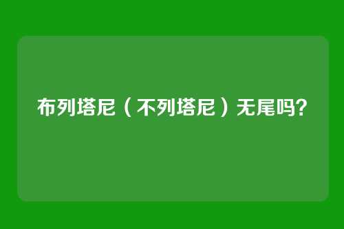布列塔尼(不列塔尼)无尾吗?