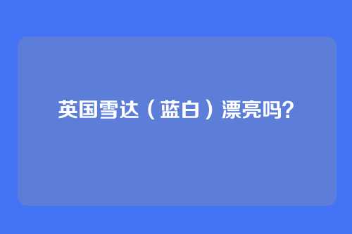 英国雪达(蓝白)漂亮吗?